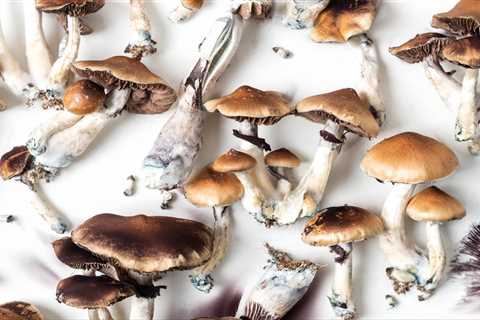 Companies Eye Oregon’s Growing Psilocybin Business Boom