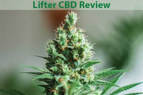 Best Lifter CBD Hemp Flower Review | CBDhealinghand.com