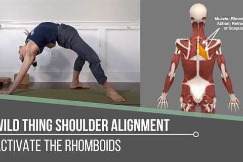 Wildlife Shoulder Alignment – THEYOGIMATT