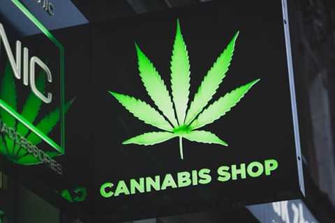 Key Aspects to Consider When Choosing a Marijuana Dispensary