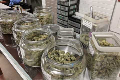 New York Marijuana Businesses Would Get State Tax Breaks Despite Federal 280E Provision Under..