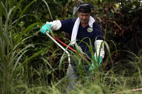 People of color more likely to be harmed by pesticides, study shows – The Hill