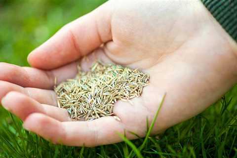 Health Benefits of Grass