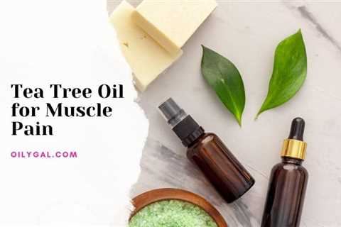 Tea Tree Oil for Muscle Pain - How to Apply for Simple Relief - Oily Gal