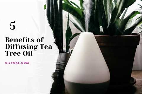 5 Benefits of Diffusing Tea Tree Oil with Essential Oil Diffuser Blend - Oily Gal