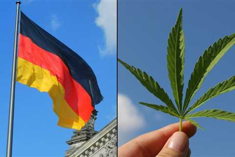 German Officials Formally Launch Marijuana Legalization Effort, With Hearings Set To Begin This Week