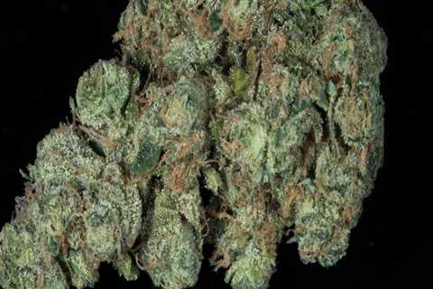 What is sour diesel best for?