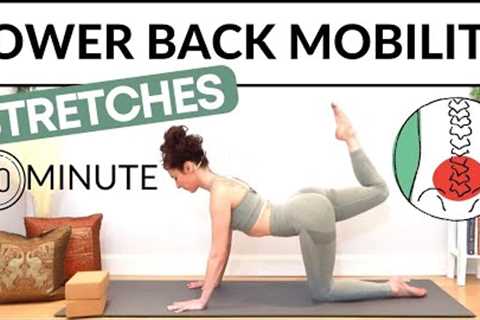 Lower Back Mobility Stretches 💪 (20 Minute Yoga Stretch)