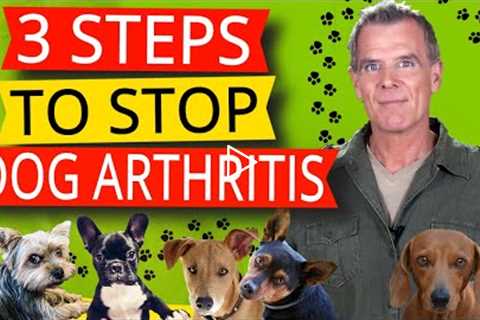 Dogs Arthritis Pain Relief (3 Natural Steps to Treatment)