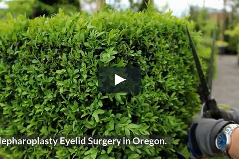 Blepharoplasty Surgery in Portland Oregon