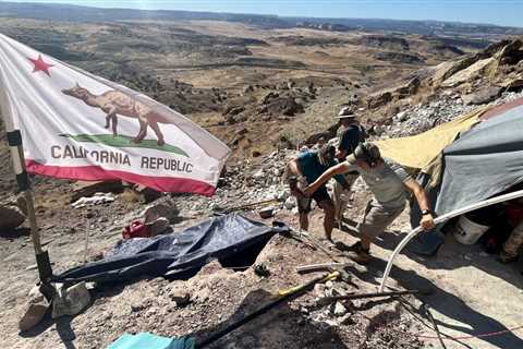 L.A. paleontologists take on a dinosaur dig