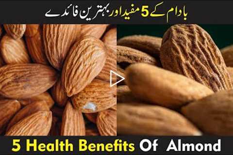 5 Health Benefits Of  Almond In UrduHindi | Health Hacks