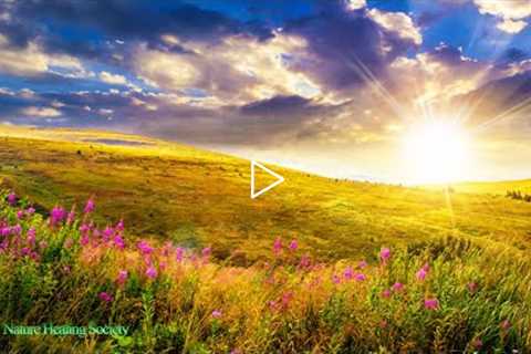 THE BEST GOOD MORNING MUSIC To Wake Up With - 528Hz Healing Positive Energy Meditation Music