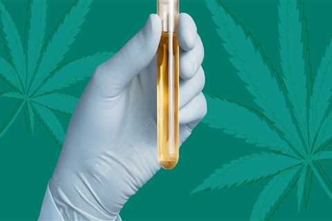 Can hemp cbd make you test positive?