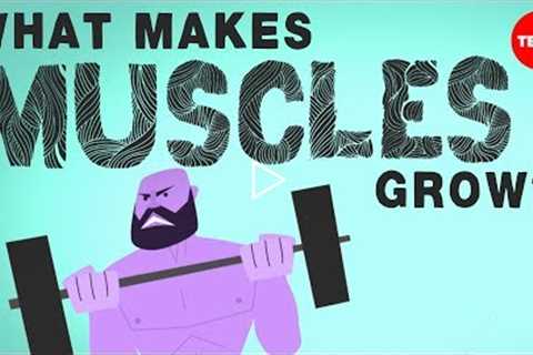 What makes muscles grow? - Jeffrey Siegel