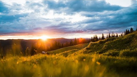 Relaxing Music, Concentration And Work, Reduce Stress, Relaxing Music Studying RT479