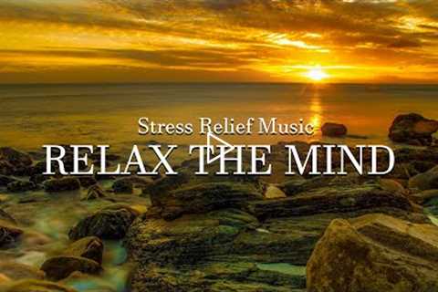 Best Relaxing Music - Piano Music Relax Mind, Reduce Stress, Study and Sleep Well