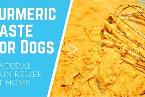 Turmeric Paste for Dogs - Natural Pain Relief for Arthritis at Home