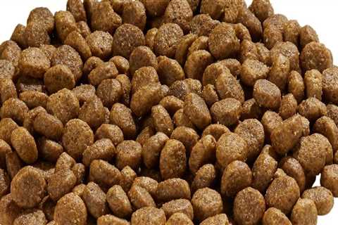 Is holistic health extension dog food good?