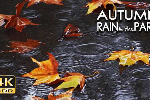 4K HDR Autumn Rain in the Park – 10 h Gentle Rain Sounds – Raindrops Fall on Pavement..