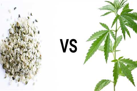 What's the difference between cbd and hemp?