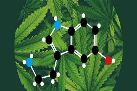 Does thc affect serotonin?