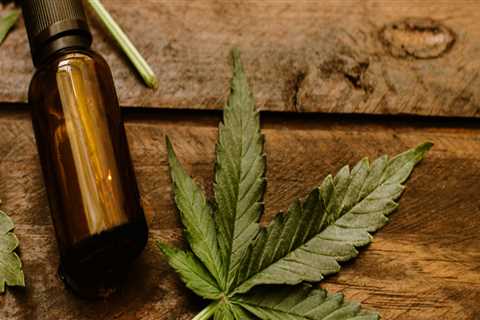 What's the difference between cbd and thc plants?