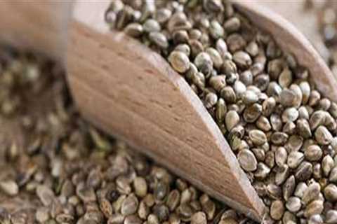 What are the disadvantages of hemp seeds?