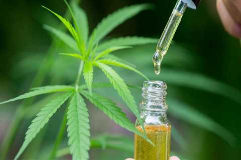 What increases absorption of cbd oil?