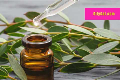 Eucalyptus Essential Oil for Cleaning with Uses and Benefits