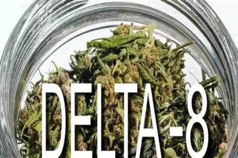 Is delta 8 stronger then cbd?