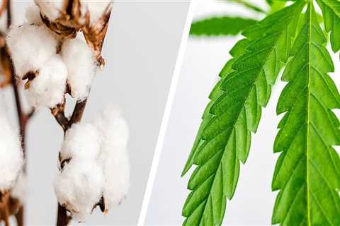 Is hemp better than cotton for the environment?