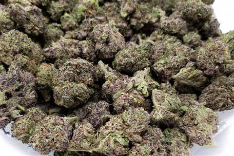 What Makes Cannabis Purple?