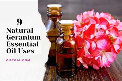 9 Natural Geranium Essential Oil Uses and Emotional Benefits