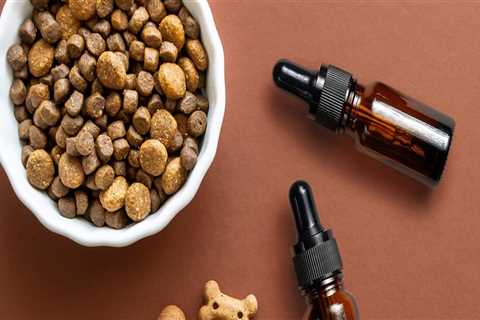 Do cbd treats actually work on dogs?