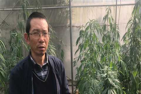 Are hemp products legal in china?