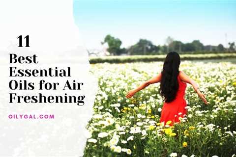 11 Best Essential Oils for Air Freshening with Diffuser Blend