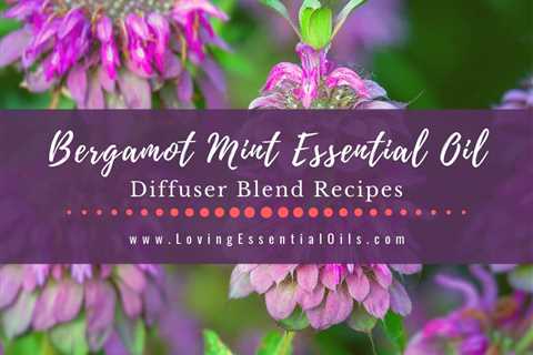 Bergamot Mint Diffuser Blends - Essential Oil Benefits and Recipes