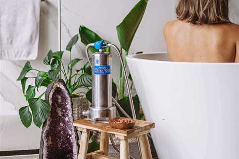 Anespa Filter - Get Rid of Chlorine and Bacteria in Your Home