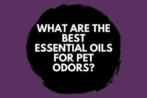 What are the Best Essential Oils for Pet Odors?