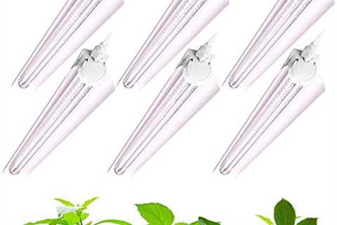 Barrina Grow Light, 144W(6 x 24W, 800W Equivalent), 2ft T8, Super Bright, Full Spectrum Sunlight..