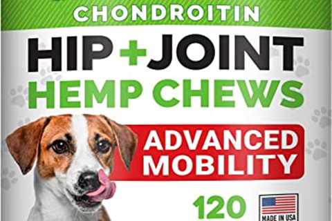 Hemp Treats - Glucosamine Dog Joint Supplement + Omega 3 - w/Hemp Oil - Chondroitin, MSM - Advanced ..