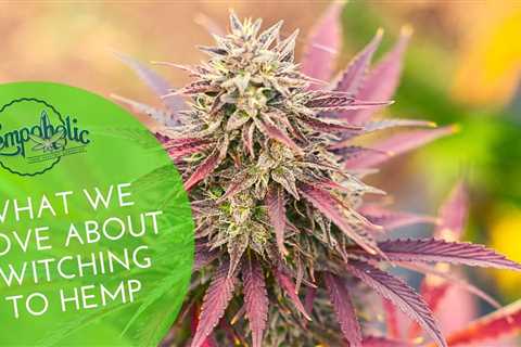 🌱What We Enjoy Most About Hemp Farming