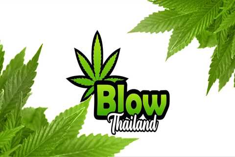 Blow Thailand - Premium Cannabis Store