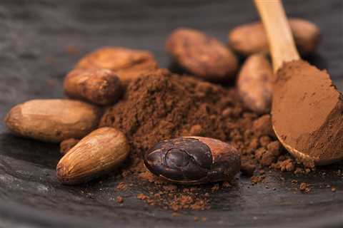 Cacao, a Traditional Plant Medicine for Modern Times