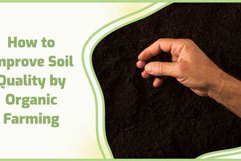 Organic Farming and Soil Health