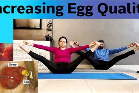 How to Improve Egg Quality in Women Naturally