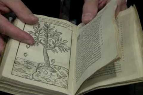 Harry Potter''s Herbology Class with Rare Books