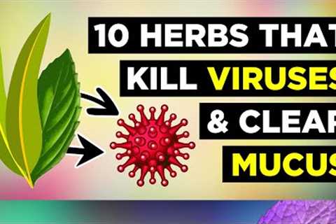 10 Herbs for Healthy Lungs To Clear Mucus & Viruses