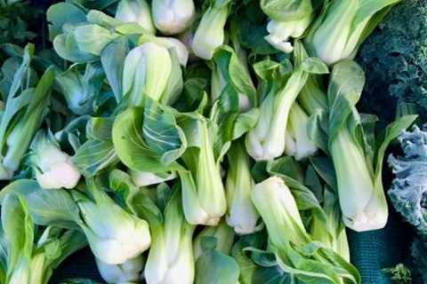 How to Use Baby Bok Choy